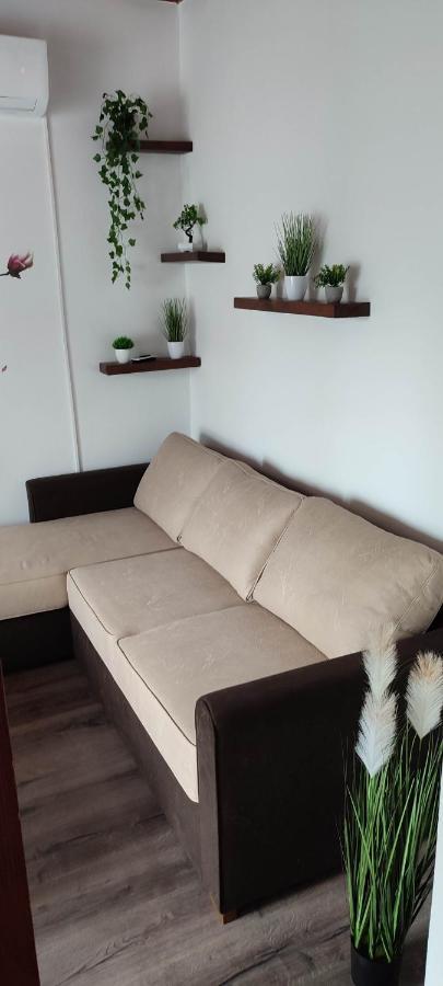 Apartment Kis Kucko Tapolca